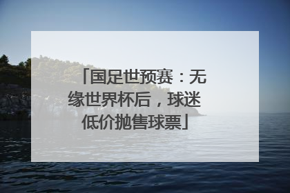 国足世预赛：无缘世界杯后，球迷低价抛售球票