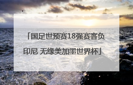 国足世预赛18强赛客负印尼 无缘美加墨世界杯