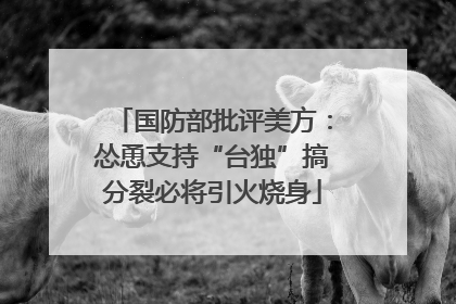 国防部批评美方：怂恿支持“台独”搞分裂必将引火烧身