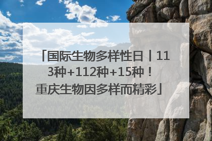 国际生物多样性日丨113种+112种+15种！重庆生物因多样而精彩