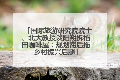 国际旅游研究院院士、北大教授谈阳朔拆稻田咖啡屋：规划滞后拖乡村振兴后腿