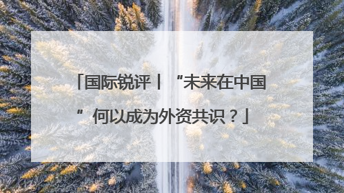 国际锐评丨“未来在中国”何以成为外资共识？