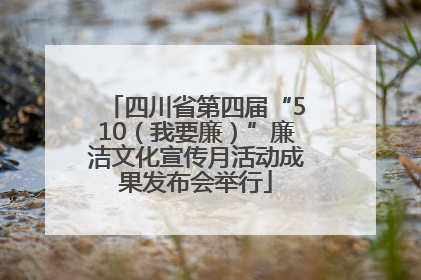 四川省第四届“510（我要廉）”廉洁文化宣传月活动成果发布会举行