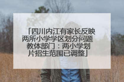 四川内江有家长反映两所小学学区划分问题 教体部门：两小学划片招生范围已调整