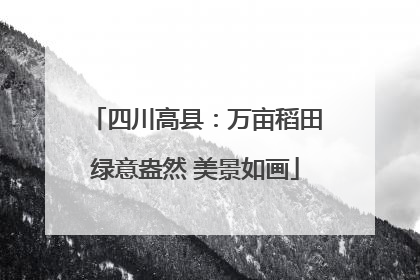四川高县：万亩稻田绿意盎然 美景如画