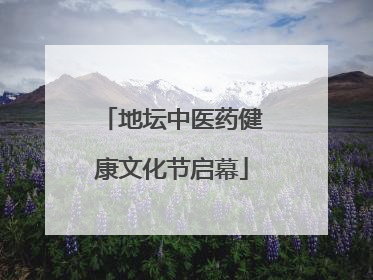 地坛中医药健康文化节启幕
