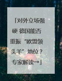 对外立场强硬 德国能否重振“欧盟领头羊”地位？专家解读→
