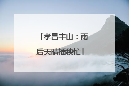 孝昌丰山：雨后天晴插秧忙