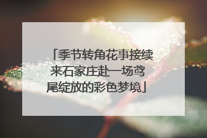 季节转角花事接续 来石家庄赴一场鸢尾绽放的彩色梦境