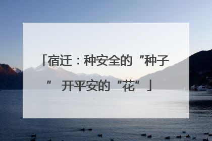 宿迁：种安全的“种子” 开平安的“花”