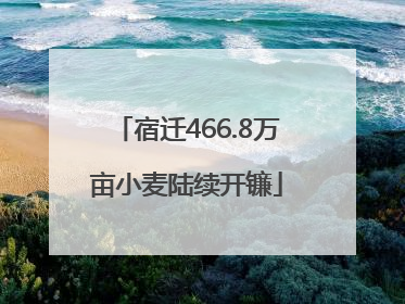 宿迁466.8万亩小麦陆续开镰