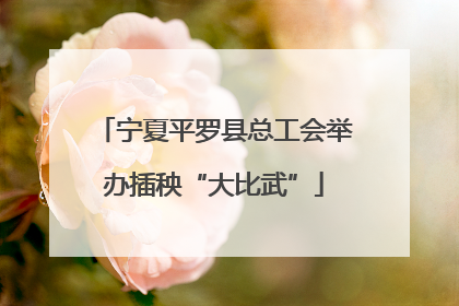 宁夏平罗县总工会举办插秧“大比武”