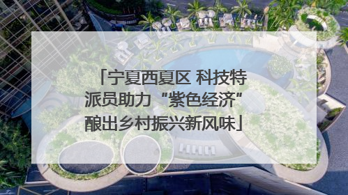 宁夏西夏区 科技特派员助力“紫色经济”酿出乡村振兴新风味