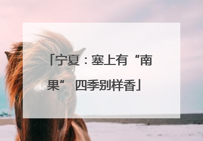 宁夏：塞上有“南果” 四季别样香