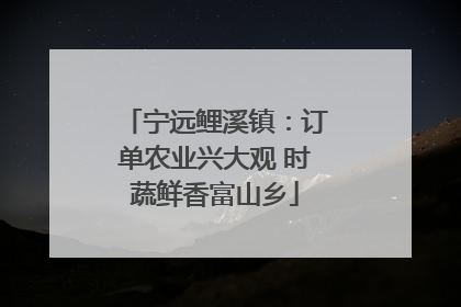 宁远鲤溪镇：订单农业兴大观 时蔬鲜香富山乡
