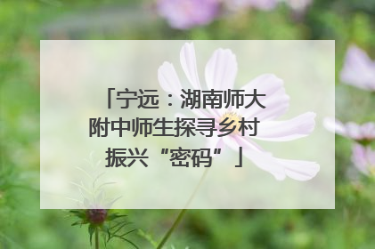 宁远：湖南师大附中师生探寻乡村振兴“密码”