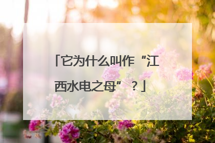 它为什么叫作“江西水电之母”？