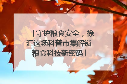 守护粮食安全，徐汇这场科普市集解锁粮食科技新密码