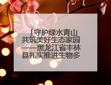 守护绿水青山 共筑美好生态家园——黑龙江省丰林县扎实推进生物多样性保护工作
