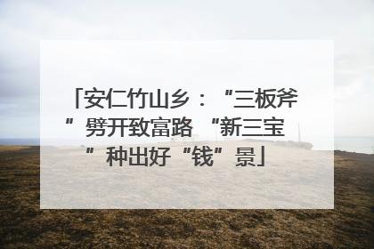 安仁竹山乡：“三板斧”劈开致富路 “新三宝”种出好“钱”景