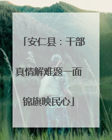安仁县：干部真情解难题一面锦旗映民心
