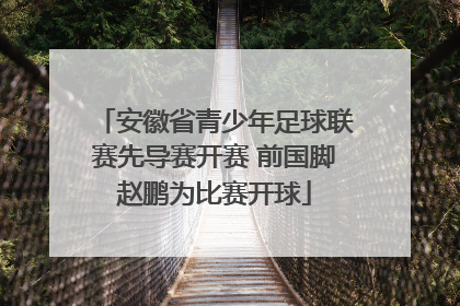 安徽省青少年足球联赛先导赛开赛 前国脚赵鹏为比赛开球