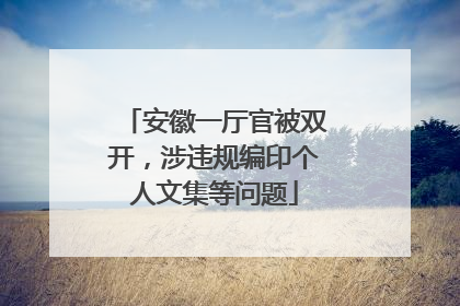 安徽一厅官被双开，涉违规编印个人文集等问题