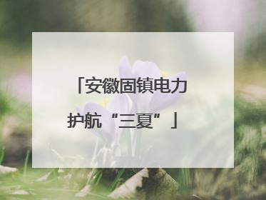 安徽固镇电力护航“三夏”