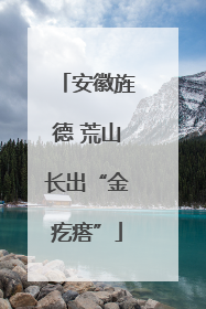安徽旌德 荒山长出“金疙瘩”