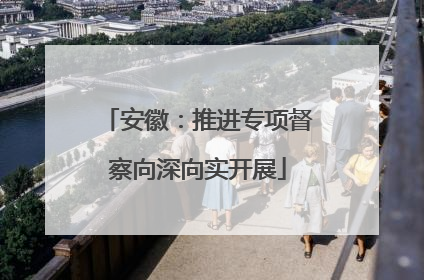 安徽：推进专项督察向深向实开展