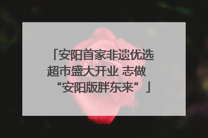 安阳首家非遗优选超市盛大开业 志做“安阳版胖东来”