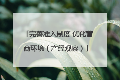 完善准入制度 优化营商环境（产经观察）