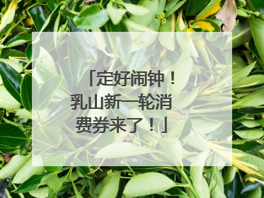 定好闹钟！乳山新一轮消费券来了！