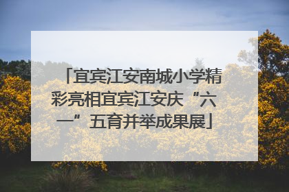 宜宾江安南城小学精彩亮相宜宾江安庆“六一”五育并举成果展