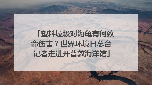 塑料垃圾对海龟有何致命伤害？世界环境日总台记者走进开普敦海洋馆