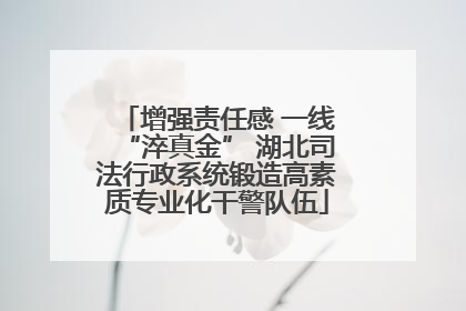 增强责任感 一线“淬真金” 湖北司法行政系统锻造高素质专业化干警队伍