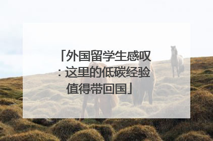 外国留学生感叹：这里的低碳经验值得带回国