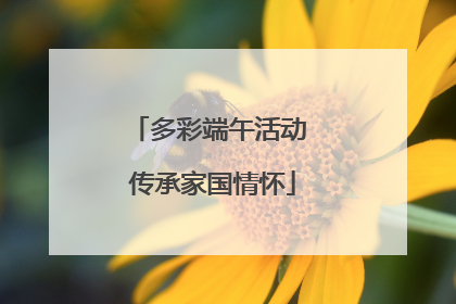 多彩端午活动 传承家国情怀