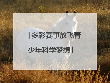 多彩赛事放飞青少年科学梦想