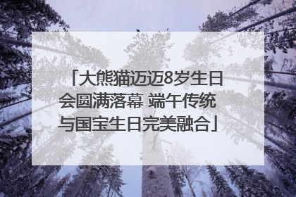 大熊猫迈迈8岁生日会圆满落幕 端午传统与国宝生日完美融合