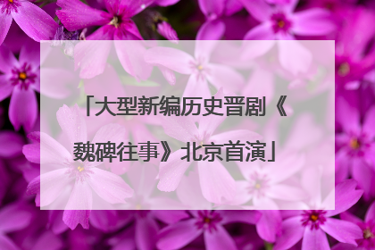 大型新编历史晋剧《魏碑往事》北京首演