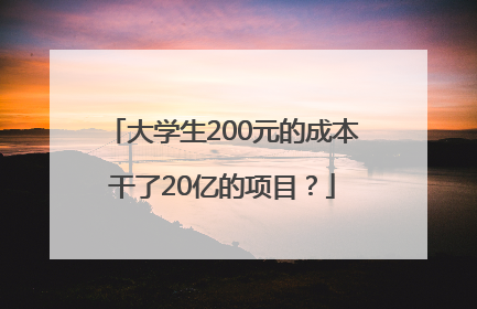 大学生200元的成本干了20亿的项目？