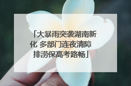 大暴雨突袭湖南新化 多部门连夜清障排涝保高考路畅