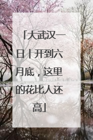 大武汉一日︱开到六月底，这里的花比人还高