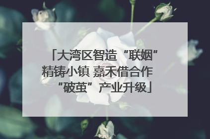 大湾区智造“联姻”精铸小镇 嘉禾借合作“破茧”产业升级