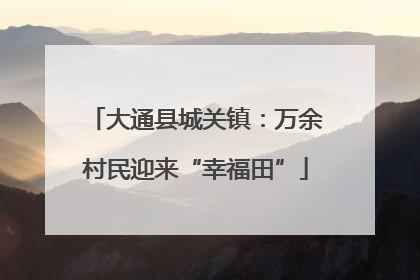 大通县城关镇：万余村民迎来“幸福田”