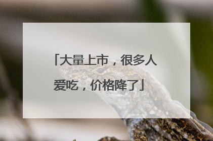大量上市，很多人爱吃，价格降了