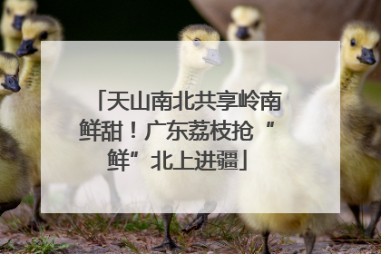 天山南北共享岭南鲜甜！广东荔枝抢“鲜”北上进疆