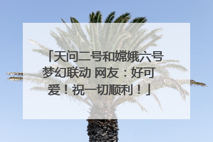 天问二号和嫦娥六号梦幻联动 网友：好可爱！祝一切顺利！