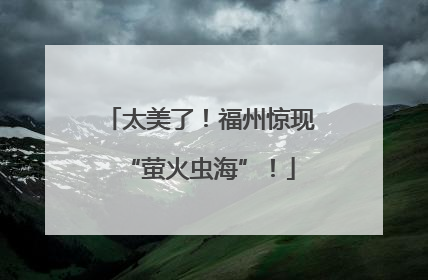 太美了！福州惊现“萤火虫海”！
